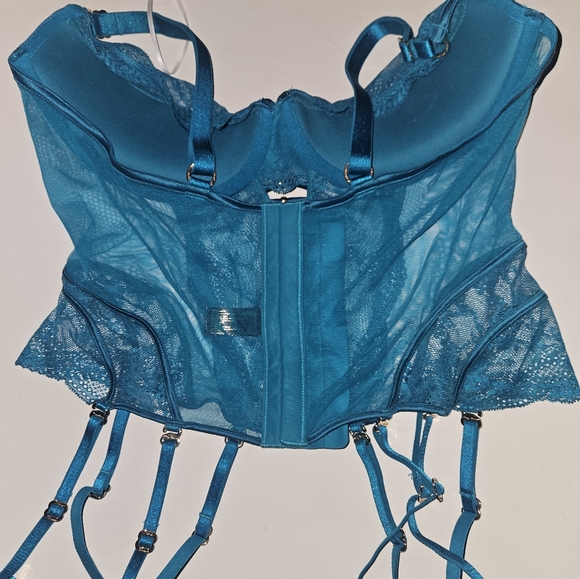 Honey Birdette Jade bustier size 36DD or 38D new - Picture 11 of 11